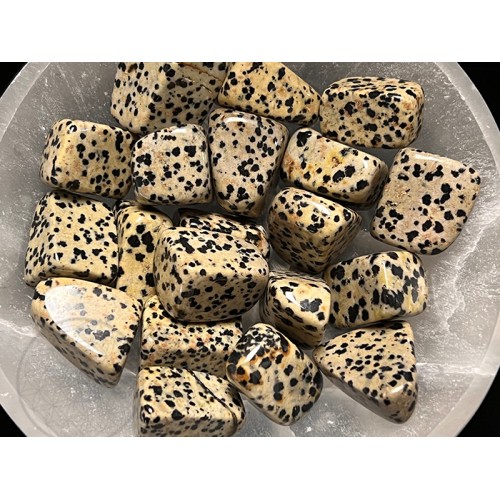 Jasper Dalmatian (11 Lb Bag Special)